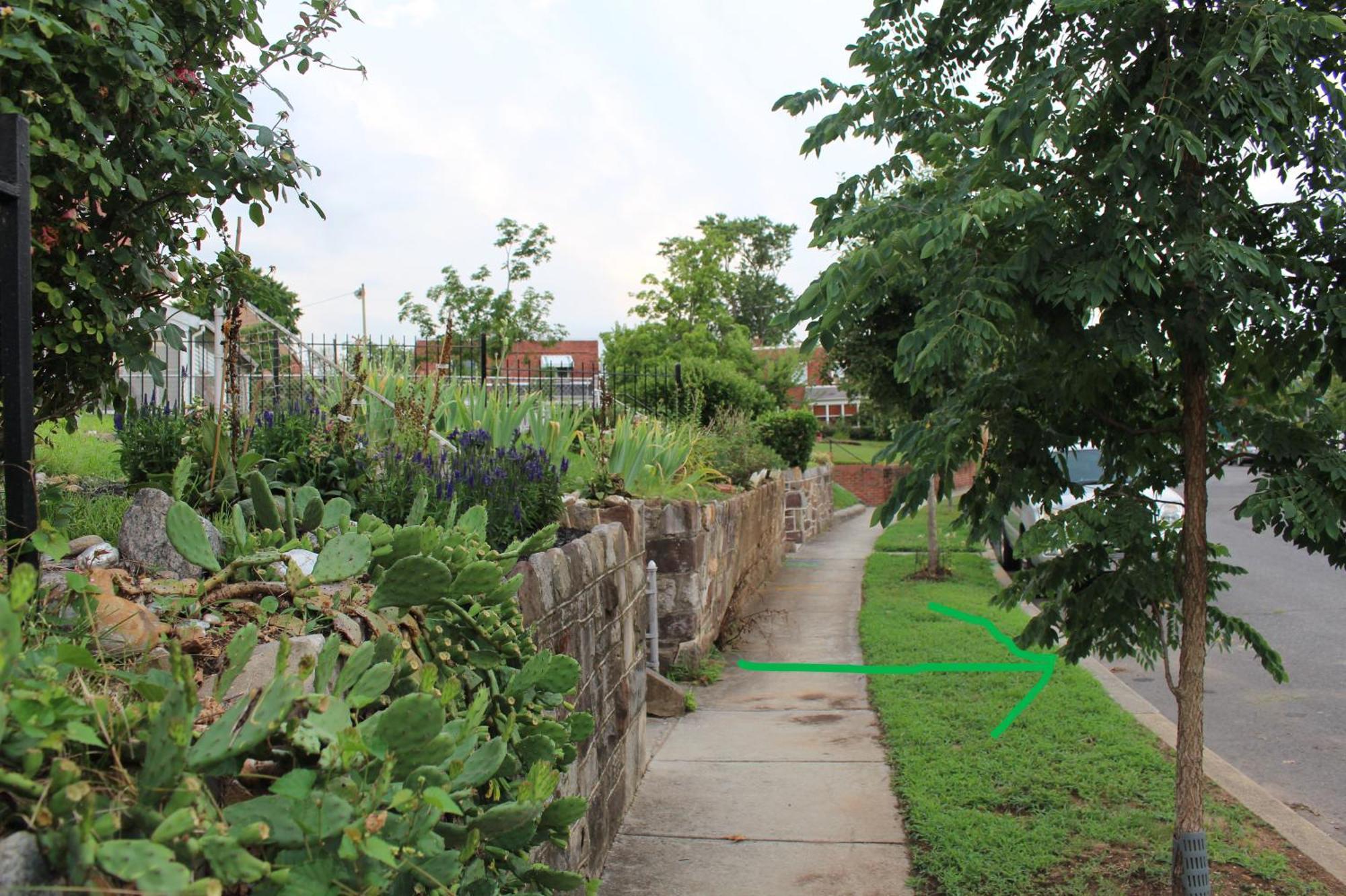 Capitol Hill Adj Home With Parking And Easy Access To Downtown Washington Eksteriør bilde